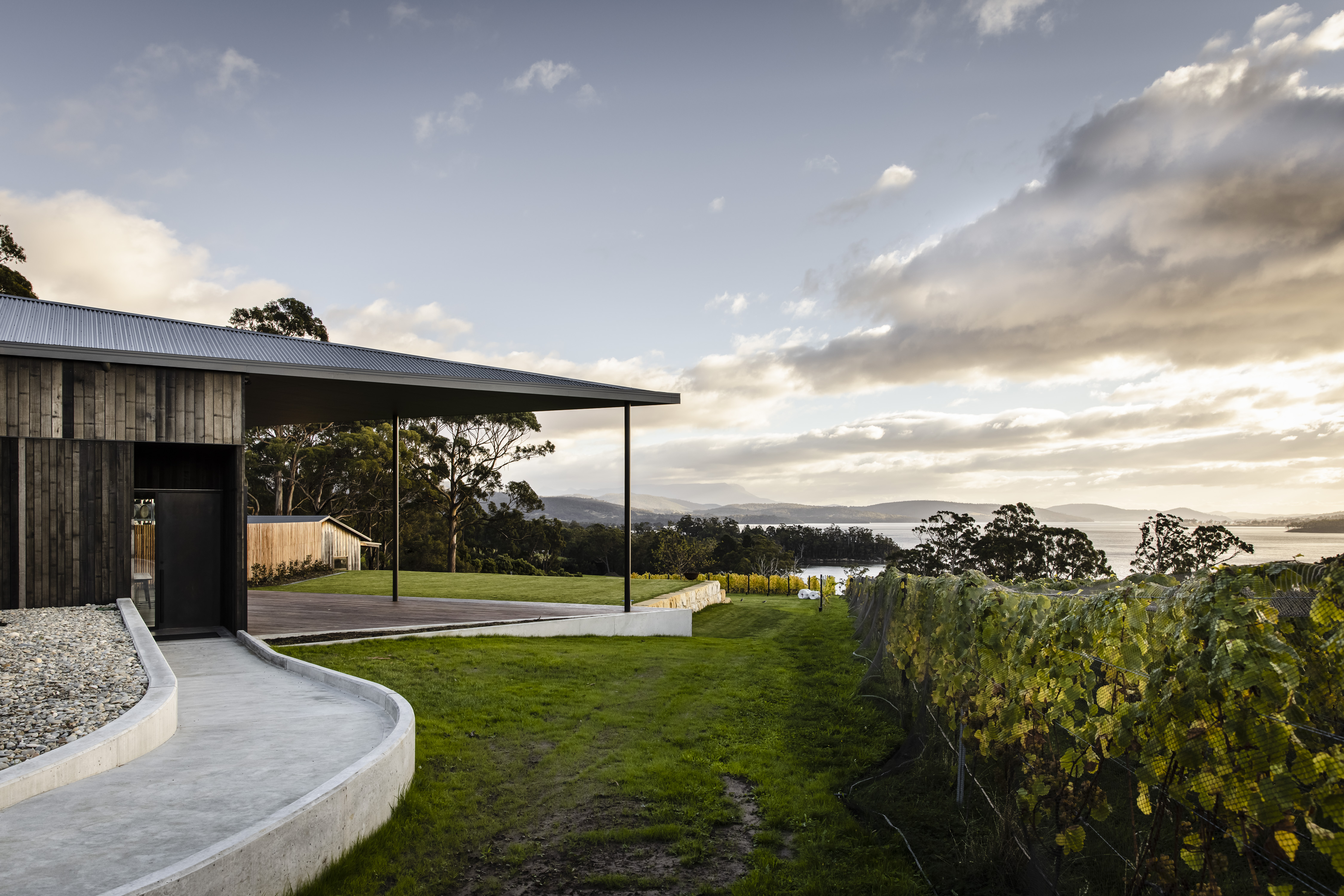 Mewstone Wines grounds and shot of the sky